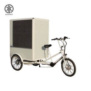 Heavy Duty Electric Cargo Trike
