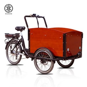 KK6010 Front Loader Electric Cargo Tricycle (250W, 360Wh, 6 Speed)