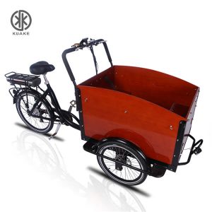 KK6010 Electric Cargo Tricycle