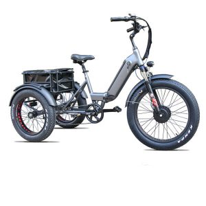 Folding Electric Tricycle