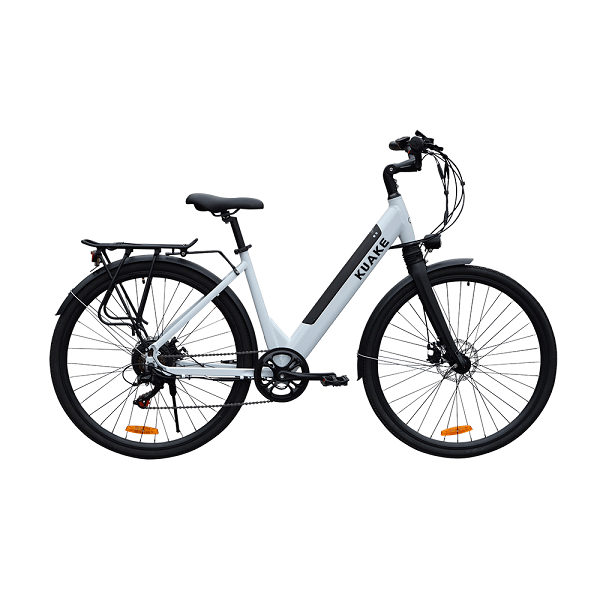 Electric City Bike